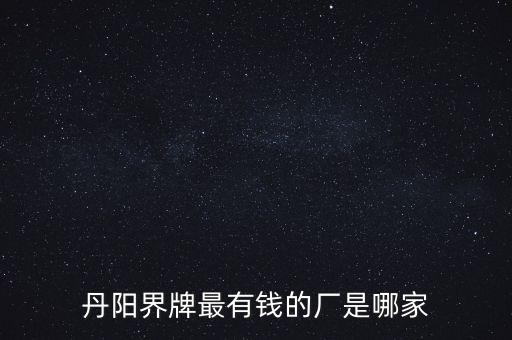 丹陽界牌最有錢的廠是哪家