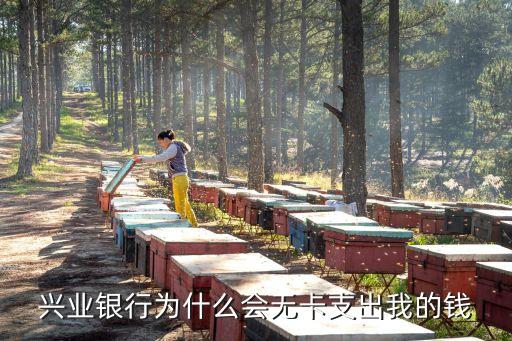 興業(yè)銀行為什么會(huì)無卡支出我的錢