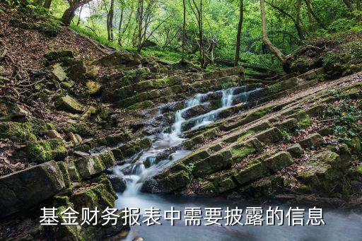  基金財(cái)務(wù)報(bào)表中需要披露的信息