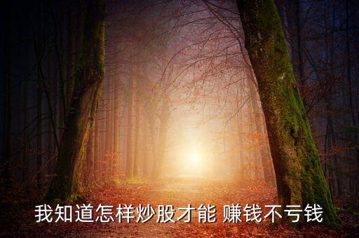 我知道怎樣炒股才能 賺錢(qián)不虧錢(qián)