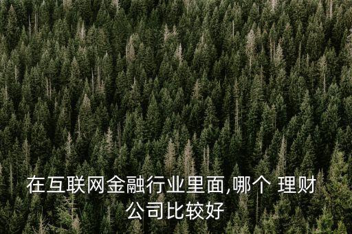 在互聯(lián)網(wǎng)金融行業(yè)里面,哪個 理財 公司比較好