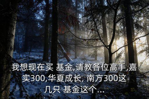 我想現(xiàn)在買(mǎi) 基金,請(qǐng)教各位高手,嘉實(shí)300,華夏成長(zhǎng), 南方300這幾只 基金這個(gè)...