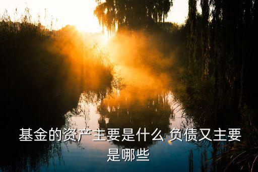  基金的資產主要是什么 負債又主要是哪些