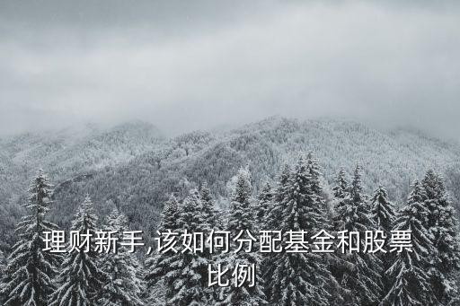  理財(cái)新手,該如何分配基金和股票 比例