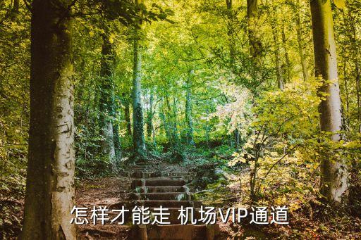 怎樣才能走 機場VIP通道