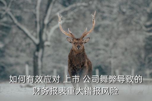 如何有效應(yīng)對 上市 公司舞弊導(dǎo)致的財務(wù)報表重大錯報風險