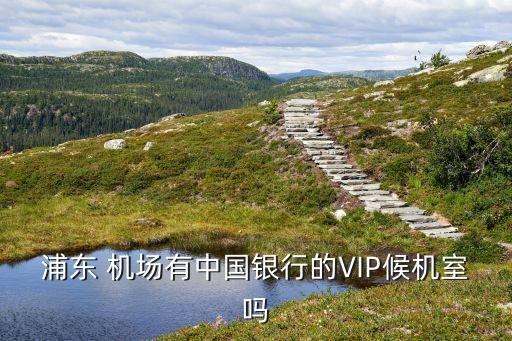 浦東 機場有中國銀行的VIP候機室嗎