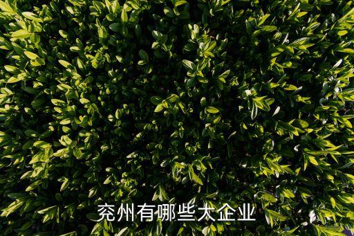 中材集團泰山玻纖鄒城有限公司