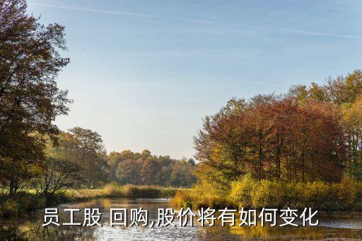 公司回購(gòu)激勵(lì)股票價(jià)格,回購(gòu)公司股票注銷(xiāo)是利好嗎