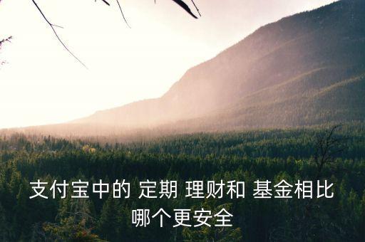支付寶中的 定期 理財(cái)和 基金相比哪個更安全