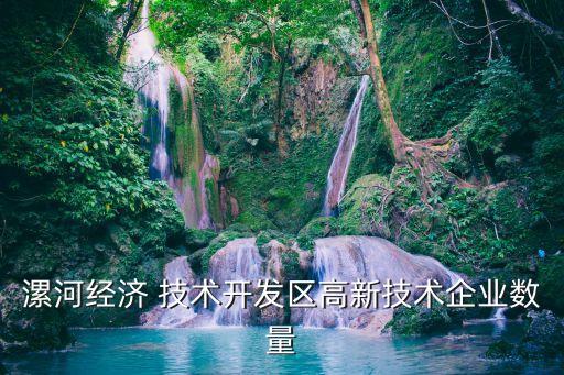 漯河經(jīng)濟 技術開發(fā)區(qū)高新技術企業(yè)數(shù)量
