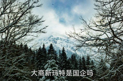  大商新瑪特是國(guó)企嗎