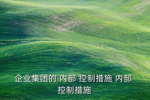企業(yè)集團的 內部 控制措施 內部 控制措施