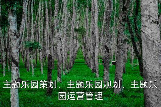 主題樂園策劃、主題樂園規(guī)劃、主題樂園運(yùn)營管理