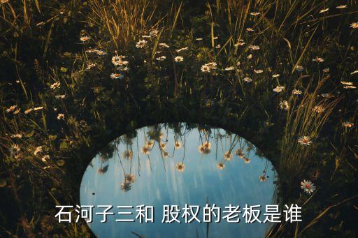 石河子三和 股權的老板是誰