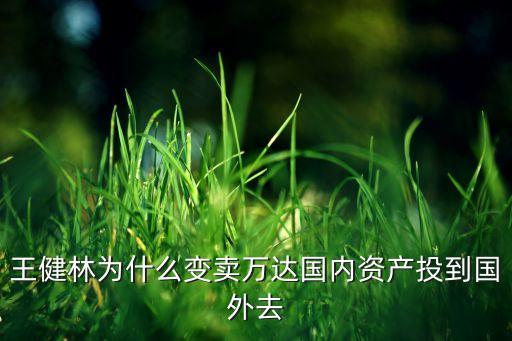 王健林為什么變賣(mài)萬(wàn)達(dá)國(guó)內(nèi)資產(chǎn)投到國(guó)外去