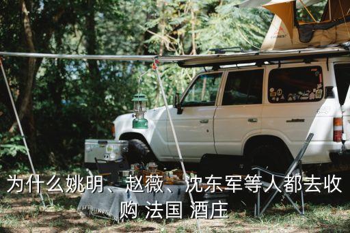 為什么姚明、趙薇、沈東軍等人都去收購(gòu) 法國(guó) 酒莊