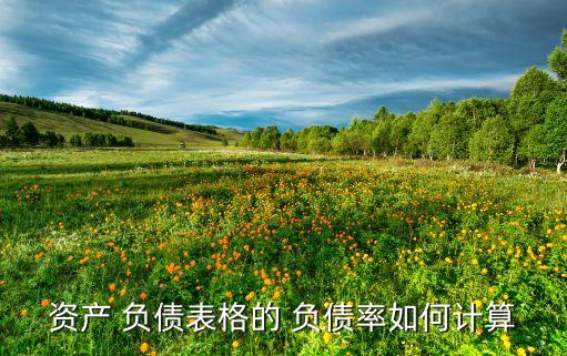 資產 負債表格的 負債率如何計算