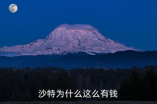 沙特為什么這么有錢(qián)