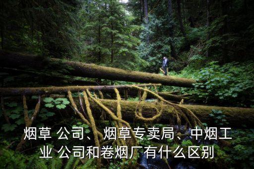  煙草 公司、 煙草專賣局、中煙工業(yè) 公司和卷煙廠有什么區(qū)別