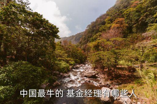 中國最牛的 基金經理有哪些人