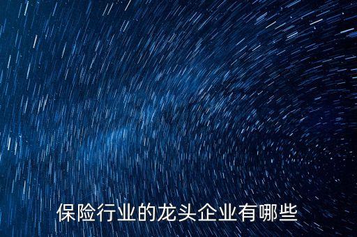 保險(xiǎn)行業(yè)的龍頭企業(yè)有哪些