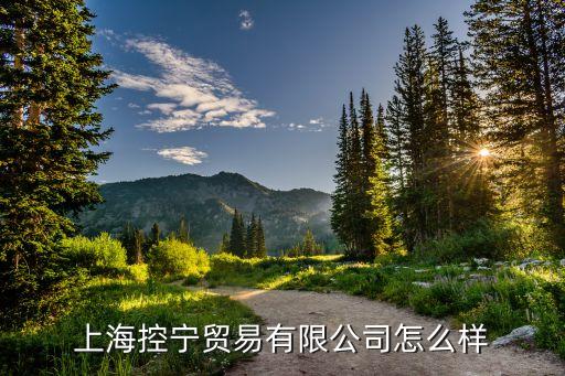 上?？貙庂Q(mào)易有限公司怎么樣