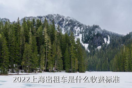 上海強(qiáng)生計價器工作原理