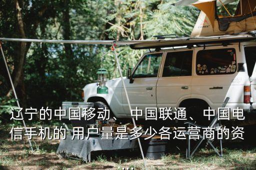 遼寧的中國(guó)移動(dòng)、 中國(guó)聯(lián)通、中國(guó)電信手機(jī)的 用戶量是多少各運(yùn)營(yíng)商的資...