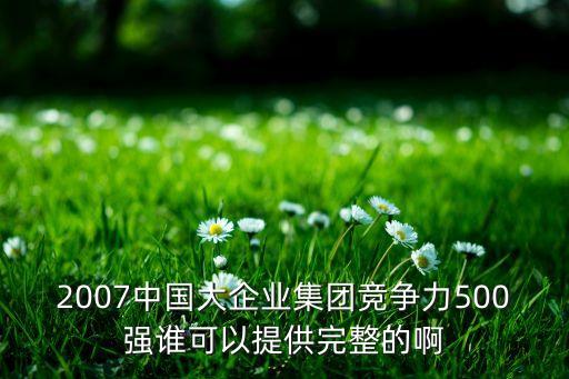 2007中國(guó)大企業(yè)集團(tuán)競(jìng)爭(zhēng)力500強(qiáng)誰(shuí)可以提供完整的啊