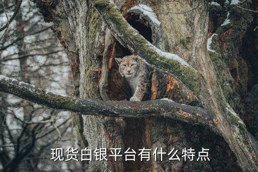  現(xiàn)貨白銀平臺有什么特點