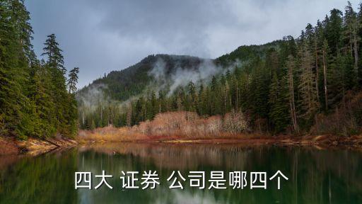 衡水市有幾個(gè)證券公司,可以開(kāi)幾個(gè)證券公司賬戶(hù)