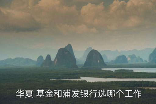  華夏 基金和浦發(fā)銀行選哪個工作