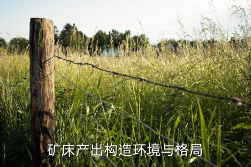 青海德?tīng)柲徙~業(yè)公司,青海紫金德?tīng)柲徙~礦