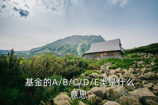  基金的A/B/C/D/E類(lèi)是什么意思