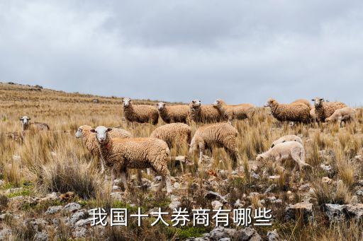 我國(guó)十大券商有哪些