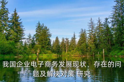 我國企業(yè)電子商務(wù)發(fā)展現(xiàn)狀、存在的問題及解決對策 研究