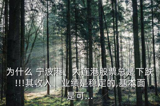 為什么 寧波港、大連港股票總是下跌!!!其收入、業(yè)績(jī)是穩(wěn)定的,基本面是可...