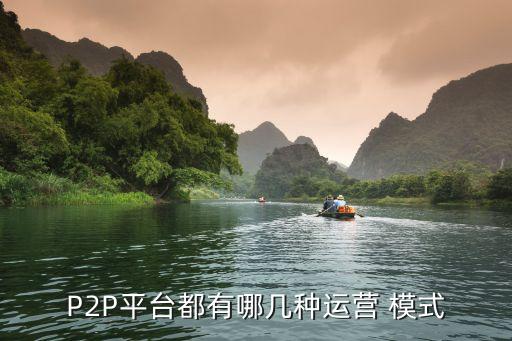 P2P平臺都有哪幾種運(yùn)營 模式