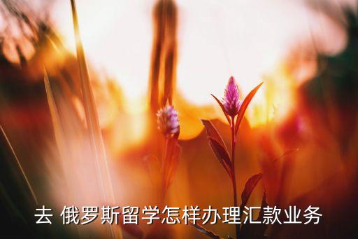在俄羅斯的中國銀行,俄羅斯的中國銀行POS機取款有限制嗎