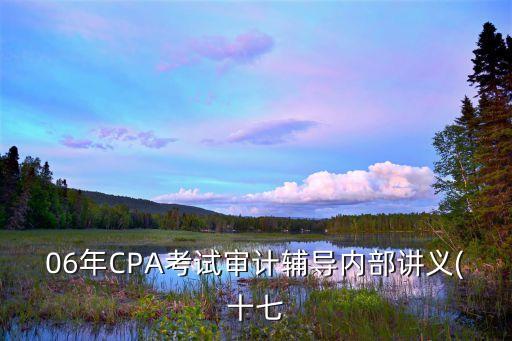 06年CPA考試審計輔導內部講義(十七