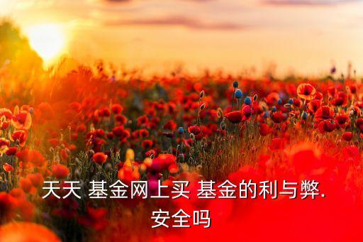  天天 基金網上買 基金的利與弊.安全嗎