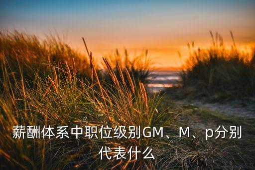 薪酬體系中職位級別GM、M、p分別代表什么